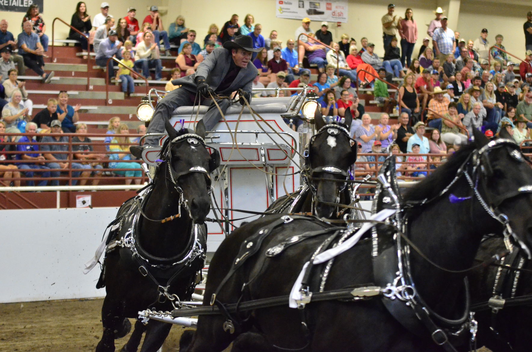 8-25-19 Draft Horse Hitch Final (92).JPG
